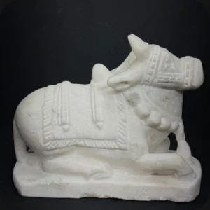 12 in Nandi White